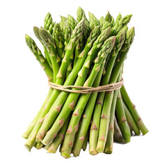 asparagus on white background