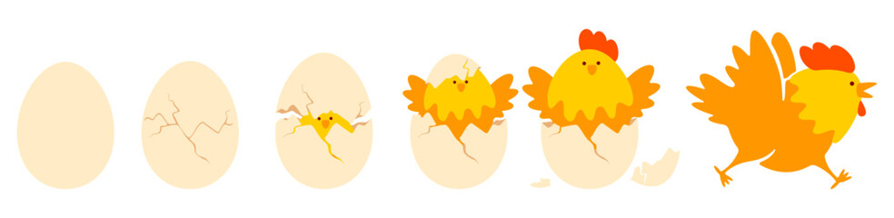 Chicken hatching stages from cracked shell to cute yellow baby chick born from an egg. Newborn little chick emergence from egg. Funny Easter chicks concept. Set of isolated vector illustration