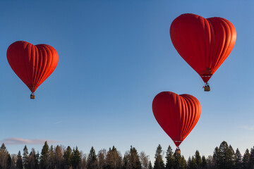hot air balloon in sky