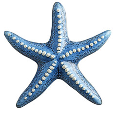 Blue starfish on black background