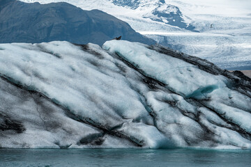 The famous Jökulsárlón Lagoon in Iceland presents a surreal Arctic landscape, with icebergs...