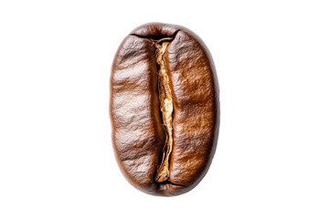 Close up detail roasted coffee bean isolated on transparent PNG background.