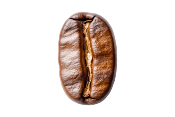 Close up detail roasted coffee bean isolated on transparent PNG background.