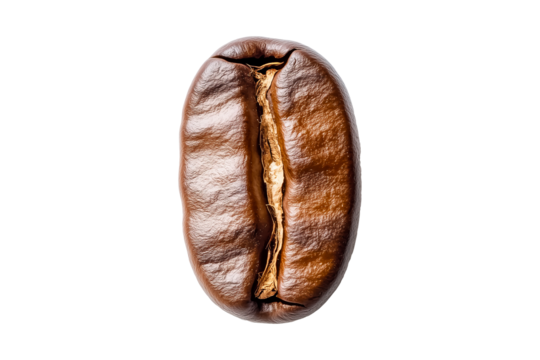 Close up detail roasted coffee bean isolated on transparent PNG background.