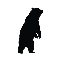 silhouette of a bear