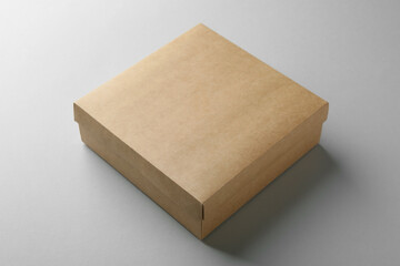 One blank cardboard box on white background. Mockup for design