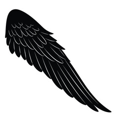 black and white bird