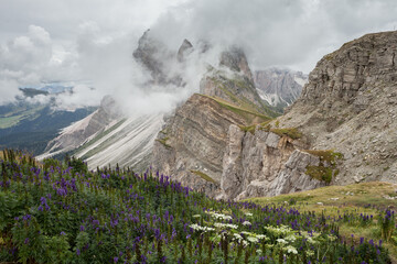 view of the Seceda area in the Italian Dolomites