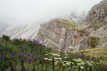 view of the Seceda area in the Italian Dolomites