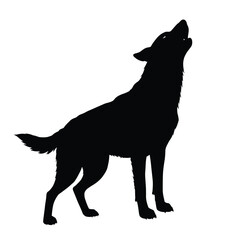 black silhouette of a dog