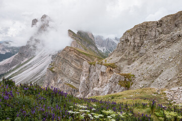 view of the Seceda area in the Italian Dolomites