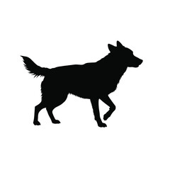 silhouette of a wolf