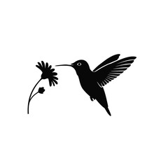 vector illustration of a bird