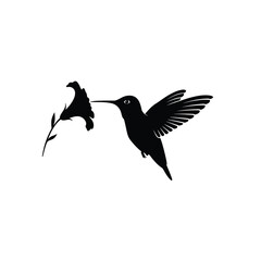 silhouette of a bird