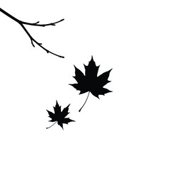 vector silhouette of a spider