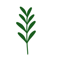 Green elegant foliage illustration graphic art