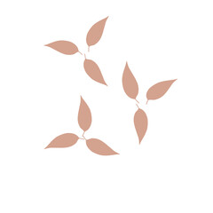 Group of brown leaves illustration art