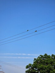 power lines on the road