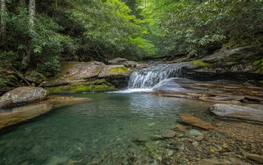 Tranquil waterfall nestled in a lush forest with clear waters reflecting the greenery