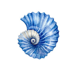 This artwork displays an exquisite blue and white watercolor seashell, showcasing fine details and unique spiral shapes against a clear background.