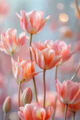 Fototapeta premium pastel-colored tulips suspended in midair, appearing weightless and ethereal. 
