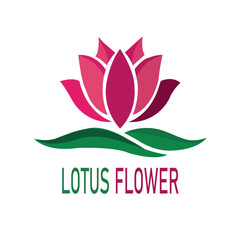 Lotus flower logo