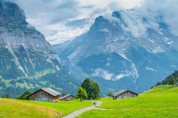 View on the alpine valley Grindelwald. Jungfrau, Switzerland. Under the Bernese alps. Mountain village.