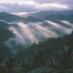 Misty mountain sunrise rays through foliage