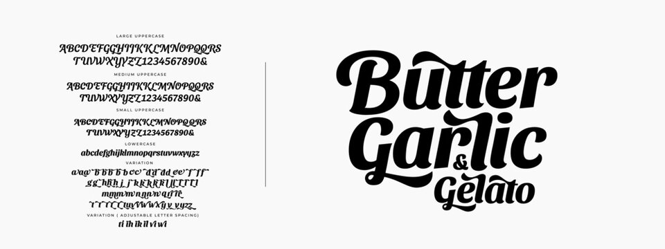 Elegant Font Uppercase Lowercase and Number. Classic Lettering Minimal Fashion Designs. Food Font design Typography modern serif fonts regular decorative vintage concept. vector illustration