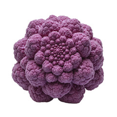 Vibrant purple cauliflower with intricate symmetrical florets centered on white background showcasing deep rich tone