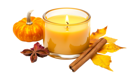 Autumn candle with pumpkin, cinnamon, and star anise.
