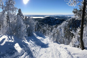 Snowy mountain path leads to scenic vista of forested hills and distant lake