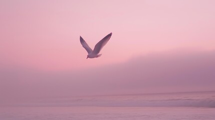 Fototapeta premium A lone seagull soaring against a muted pastel sky.
