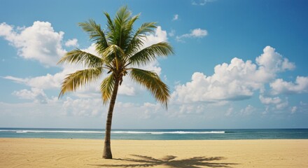 A picturesque palm tree at the edge of a Mexican beach, capturing the essence of a laid-back coastal vacation.