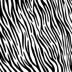 Abstract hand drawn zebra pattern. Vector Illustration.	