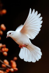 Fototapeta premium Dove soaring in peaceful flight with flowers. Use it for hope, and freedom
