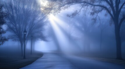 Misty Morning Path: Sunbeams Piercing Through Fog