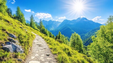 Obraz premium Hiking Trail Winding Through Alpine Meadows Under Sunny Sky
