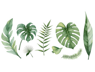 Elegant monstera and palm leaves painted in a soft watercolor style