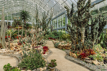 Cactus and succulent garden in glass house in botanic park on Bali island