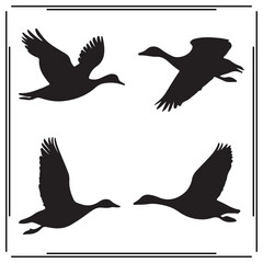 Obraz premium Birds silhouette, Birds illustration , Birds clipart, Birds vector , Birds icon , black Birds, Birds illustration on white background, Birds vector illustration , Birds silhouette illustration, 