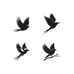 Obraz premium Elegant Bird Silhouettes in Flight and Perch Multiple Vector Illustration