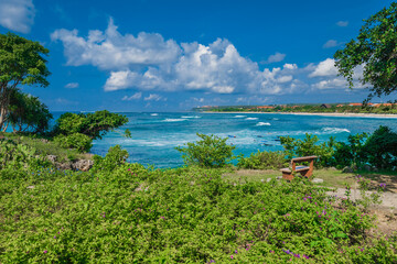 Tropical coastline in sunny day with trees and blue ocean with waves in Bali.