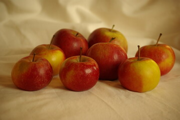 Petites pommes rouges sur la nappe