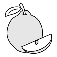 Icon: Quince - Botanical Skincare Icon, Natural Extract, Hydrating, Anti-Aging, Organic Ingredients. Editable Stroke and Colors.