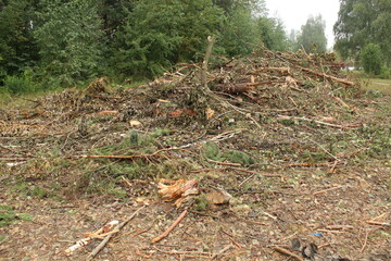 A plot of land cleared of trees and bushes