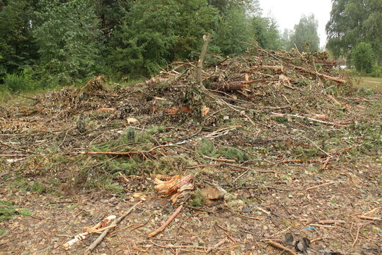A plot of land cleared of trees and bushes