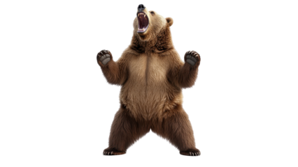 Roaring Grizzly: A powerful grizzly bear stands upright, roaring with its mouth wide open, capturing a moment of untamed wilderness and raw animal behavior.