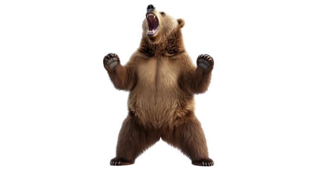 Roaring Grizzly: A powerful grizzly bear stands upright, roaring with its mouth wide open, capturing a moment of untamed wilderness and raw animal behavior.