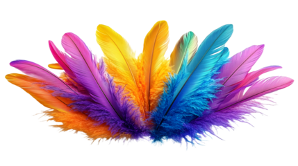Mardi Gras decorated with colorful feathers isolate on transparent background